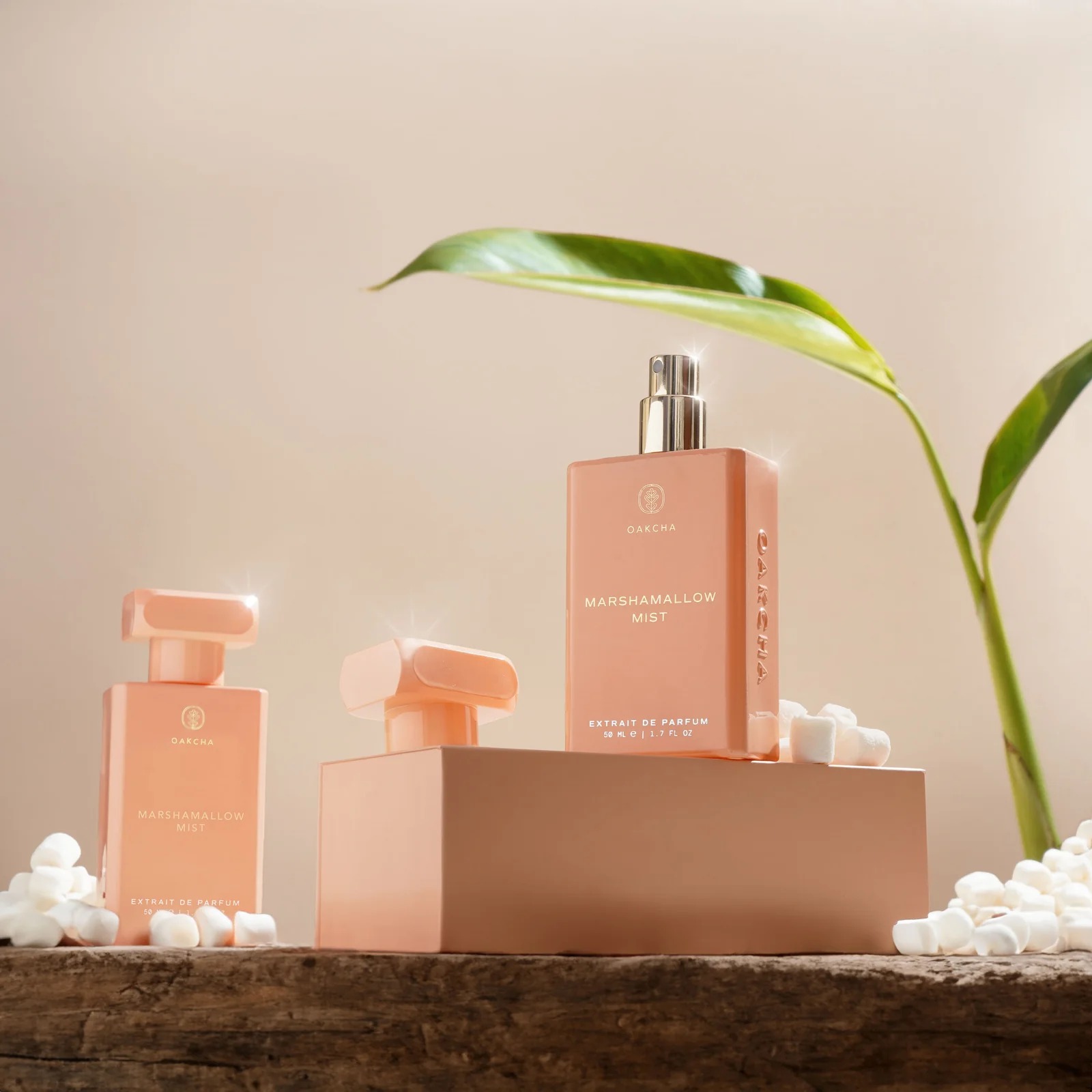Oakcha Extrait De Parfum 50ml  - Perfume New Fragrance recensione e prezzo
