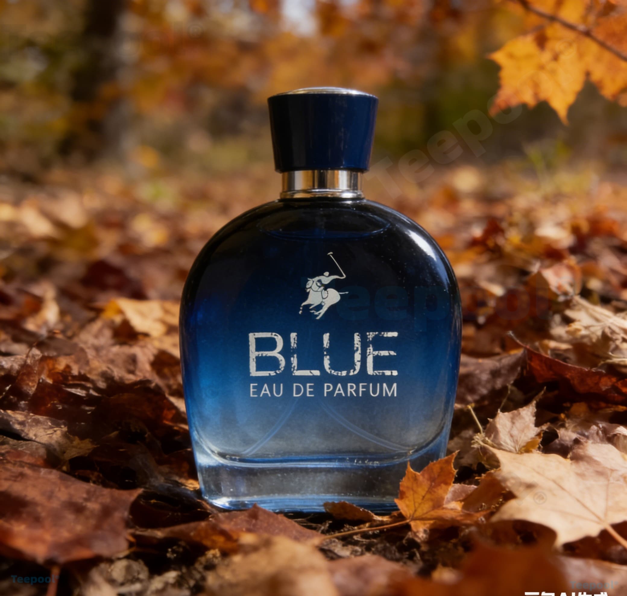 perfume/fragrance，Glamour Men  - Fragrance Perfume Spray recensione e prezzo