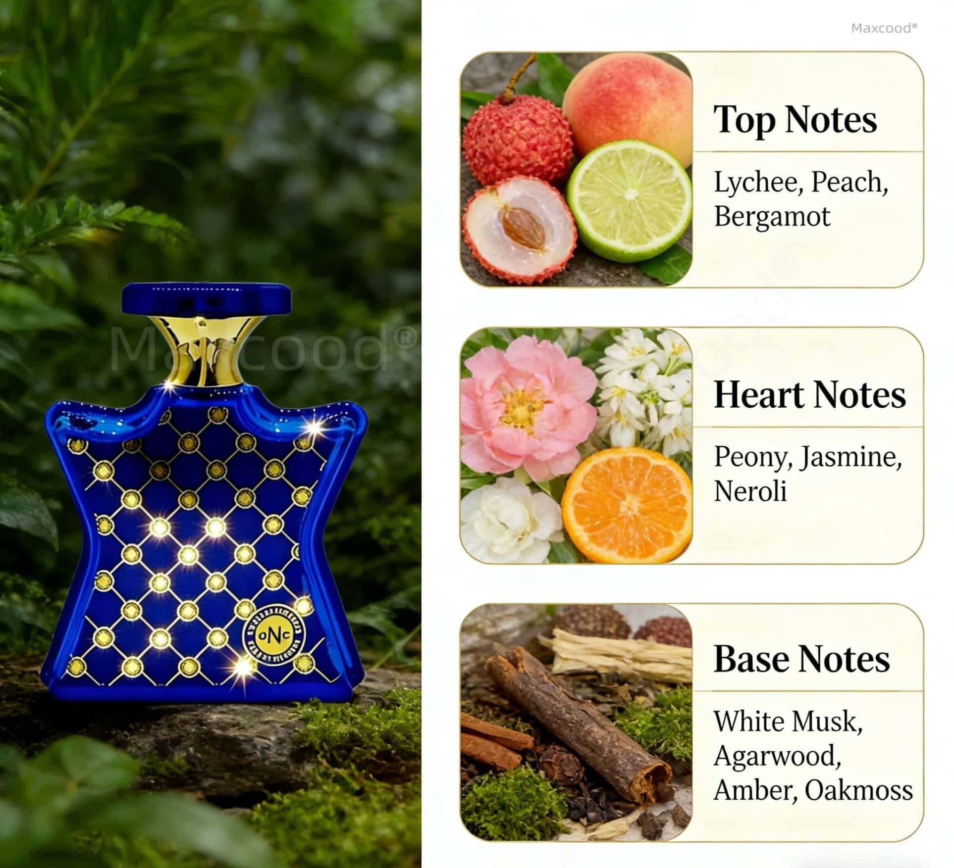 Citrus and floral Perfume Long - Unique Perfume Fragrance recensione e prezzo