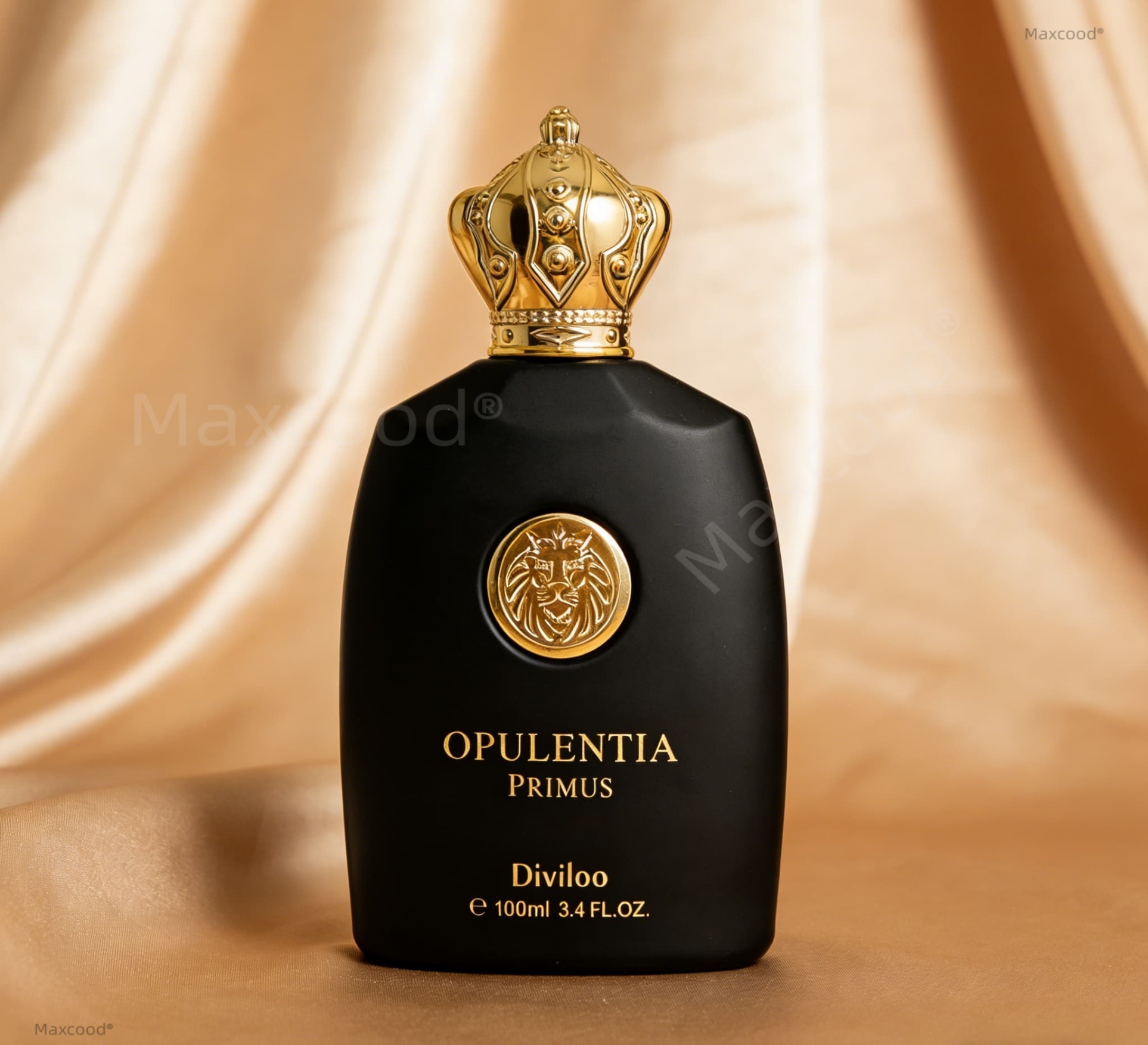 Woody Musk Note Men Perfume Lo - Unique Perfume Fragrance recensione e prezzo