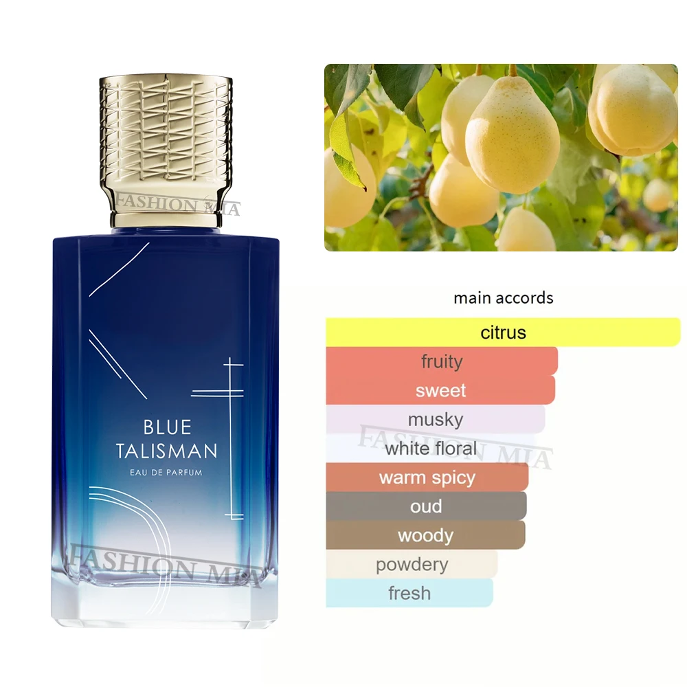 100ml Luxury Brand thEnchantme - Perfume Fragrance Blue recensione e prezzo