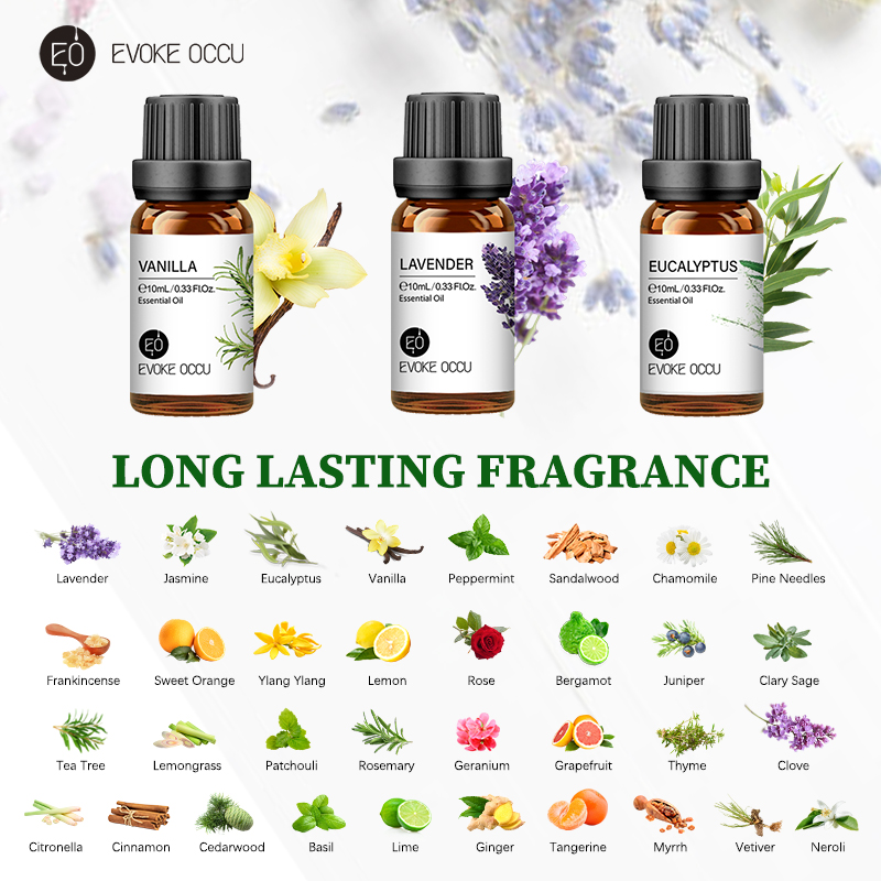 EVOKE OCCU 10mL Essential Oil, - Vanilla Perfume Oil recensione e prezzo